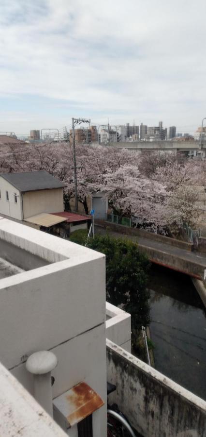 Cherry Blossom Koseicho Okayama Exterior foto